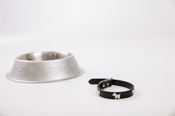 Foto gratuito collar cerca de un tazón para mascotas