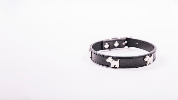 Collar de perro en blanco