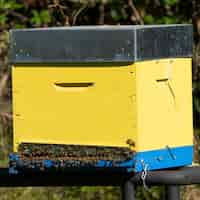 Foto gratuita colmena amarilla con abejas en francia