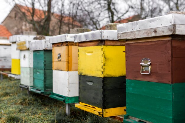 Colmenas de abejas al aire libre concepto de estilo de vida del país