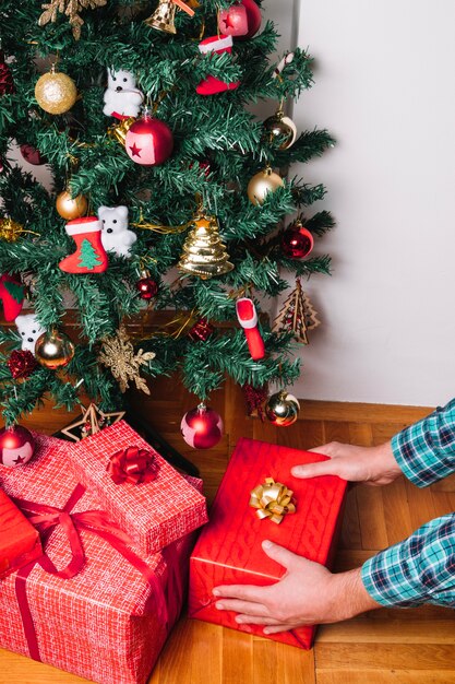 Colocando caja de regalo debajo de árbol de navidad