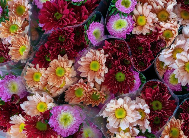 De coloridas flores para la venta durante el día.