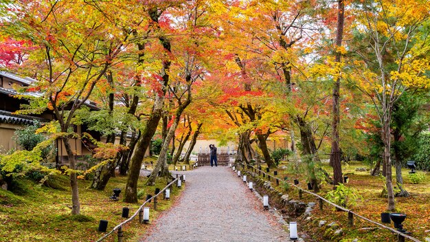 Coloridas hojas de otoño y camino a pie en el parque, Kyoto en Japón. Fotógrafo toma una foto en otoño.