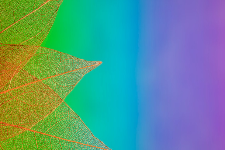 Foto gratuito coloridas hojas de otoño con espacio de copia
