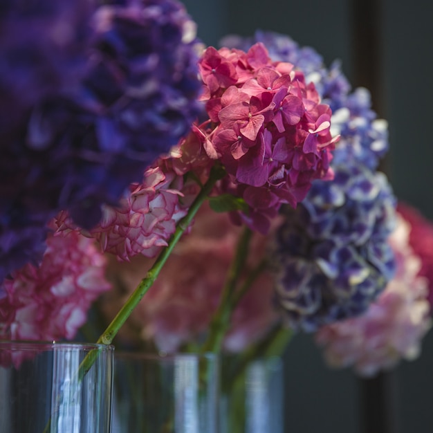 Coloridas lilas en jarrones separados en florería
