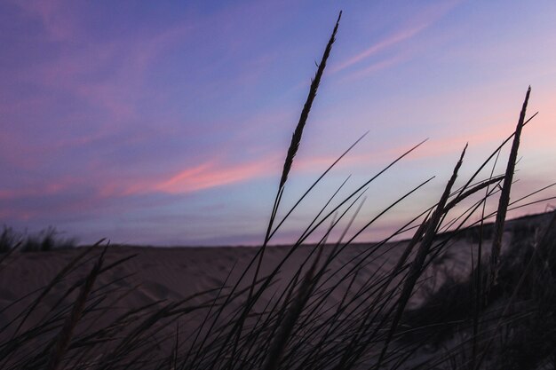 Colorido atardecer