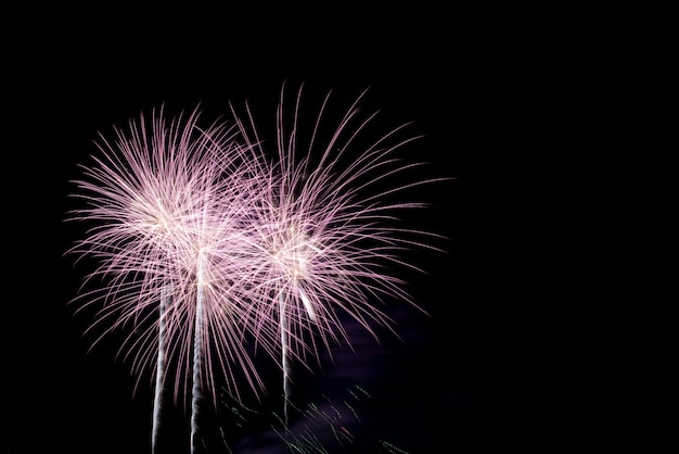 Coloridos fuegos artificiales en el cielo nocturno