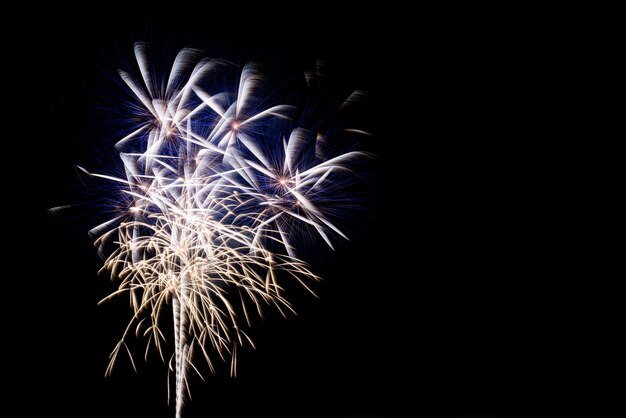 Coloridos fuegos artificiales en el cielo nocturno