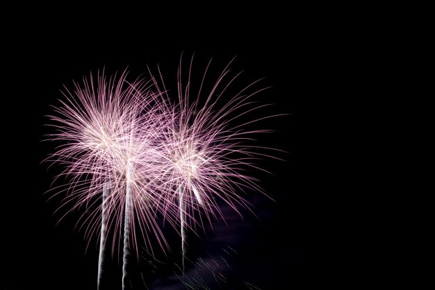 Coloridos fuegos artificiales en el cielo nocturno