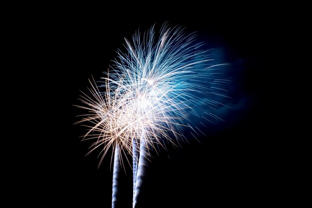 Coloridos fuegos artificiales en el cielo nocturno