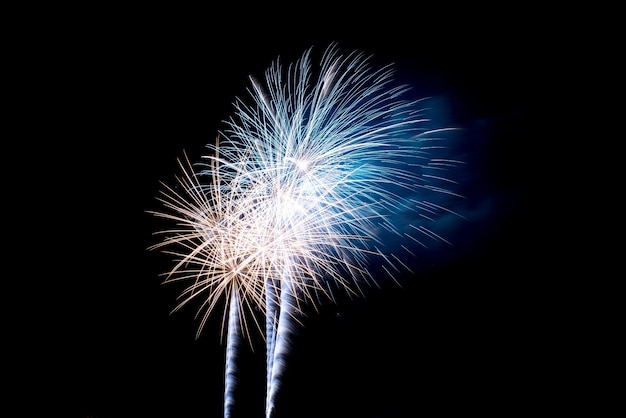 Coloridos fuegos artificiales en el cielo nocturno