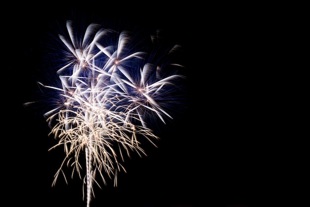 Coloridos fuegos artificiales en el cielo nocturno