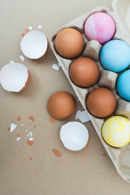 Coloridos huevos de Pascua en estante con cáscara