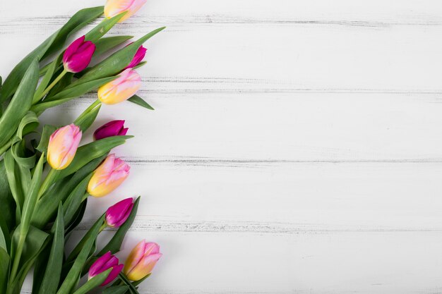 Coloridos tulipanes en linea