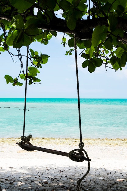 Columpio colgado de un árbol al lado de la playa