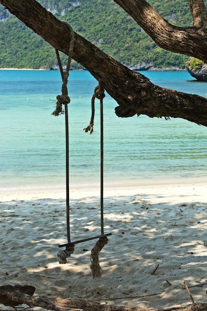 Columpio colgado de un árbol en la playa de una isla durante el día