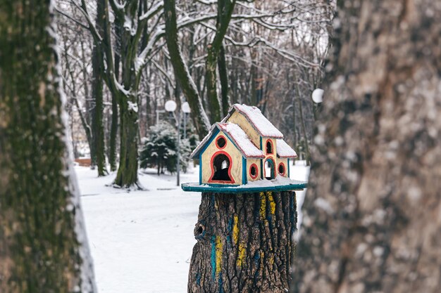 Comedero para pájaros brillante en el bosque de invierno