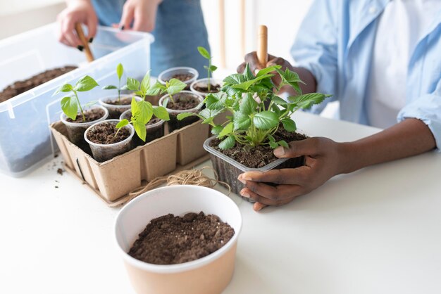 Compañeros de cuarto que tienen un jardín sostenible en el interior