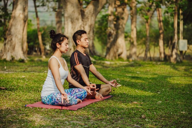 Compañeros de yoga sentados y meditando