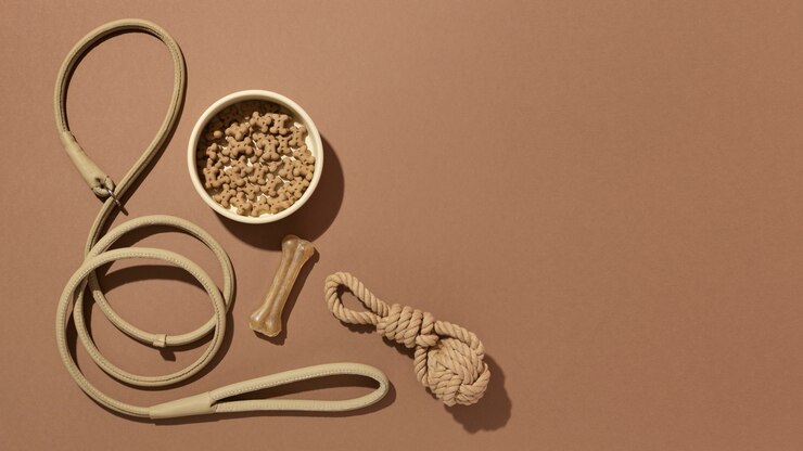 Foto gratuito composición de accesorios para mascotas de naturaleza muerta