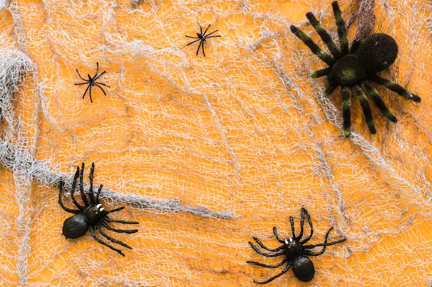 Composición de arañas para halloween