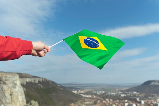 Composición de la bandera brasileña