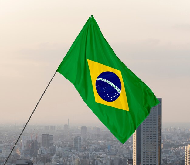 Composición de la bandera brasileña