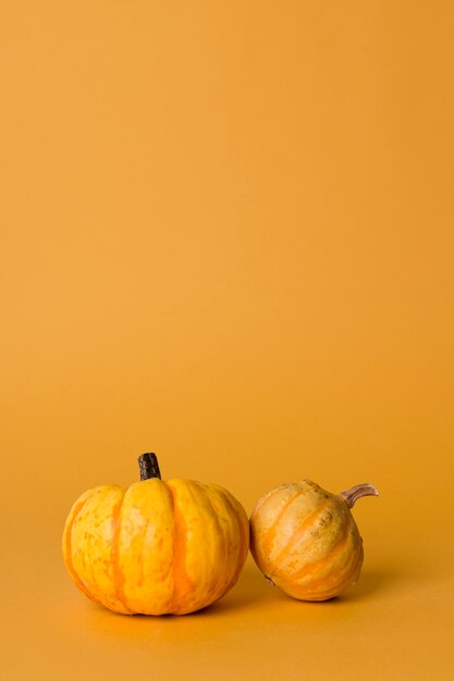 Composición de bodegón monocromático con calabaza