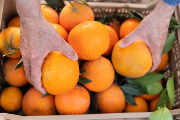 Composición con caja llena de naranjas.