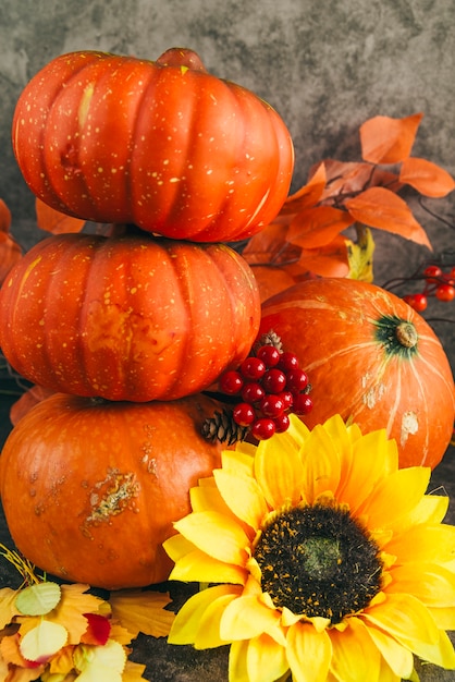 Foto gratuita composición con calabazas maduras otoñales.