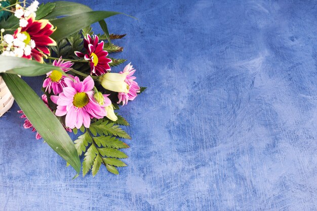 Composición de coloridas flores y plantas tropicales.