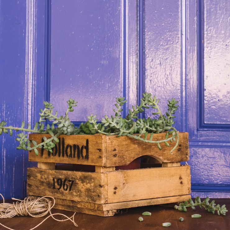 Foto gratuito composición decorativa morada de jardinería