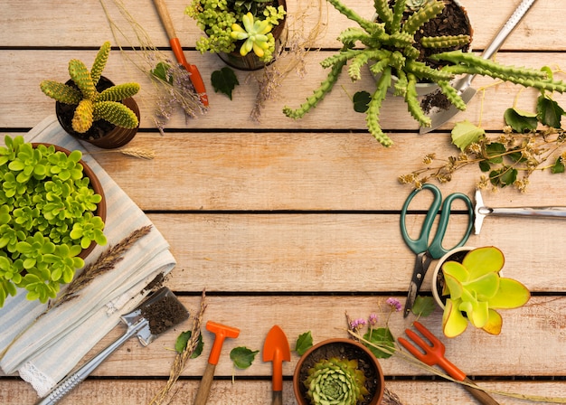 Composición de diferentes plantas y herramientas.