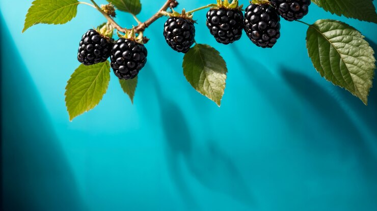 Foto gratuito composición de estudio de frutas tropicales