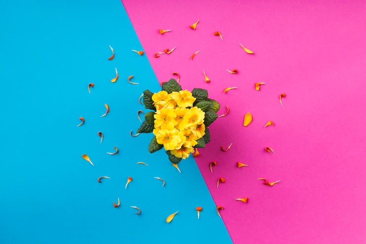 Foto gratuito composición flat lay de flores