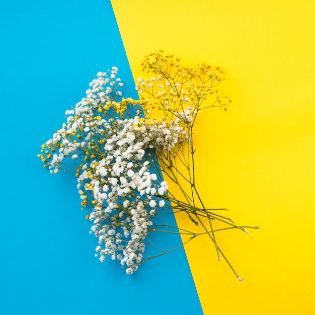 Foto gratuita composición flat lay de flores