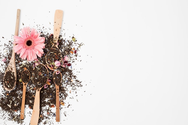 Foto gratuita composición flat lay de hojas de té