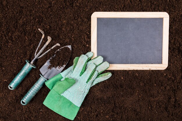 Composición flat lay de jardinería con plantilla de pizarra