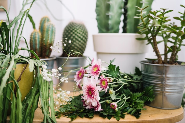 Composición floral de cactus