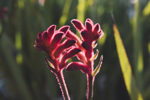 Composición floral con estilo elegante