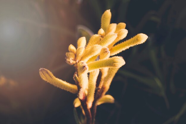 Composición floral con estilo elegante