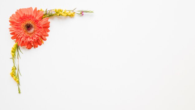 Composición floral con gerbera