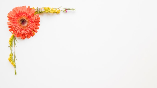 Composición floral con gerbera