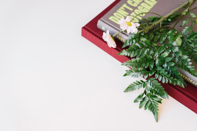 Composición floral con libros