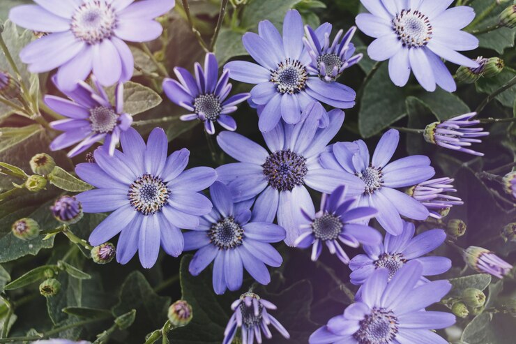 Foto gratuito composición floral moderna con estilo elegante