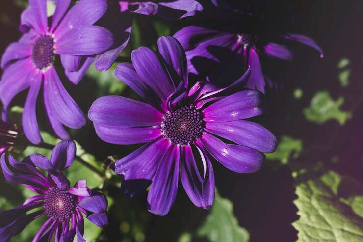 Foto gratuito composición floral moderna con estilo elegante