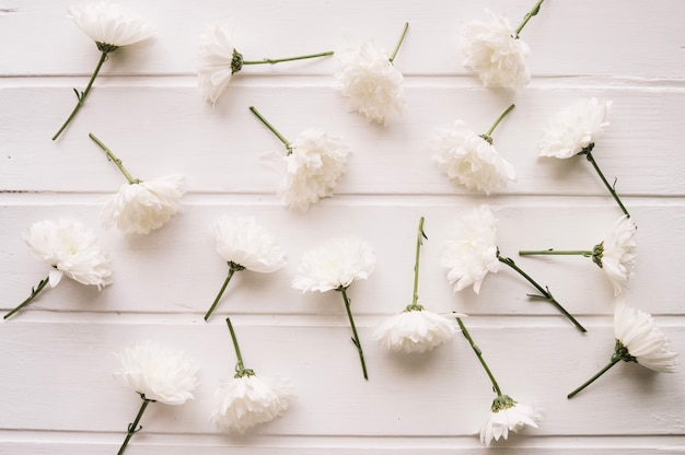 Foto gratuita composición de flores blancas sobre una tapa de madera blanca