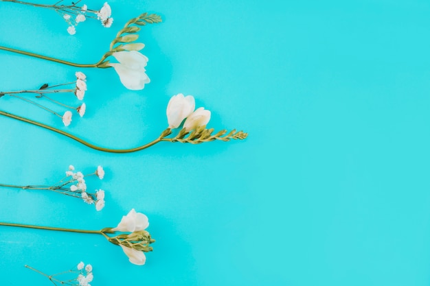 Composición de flores blancas.