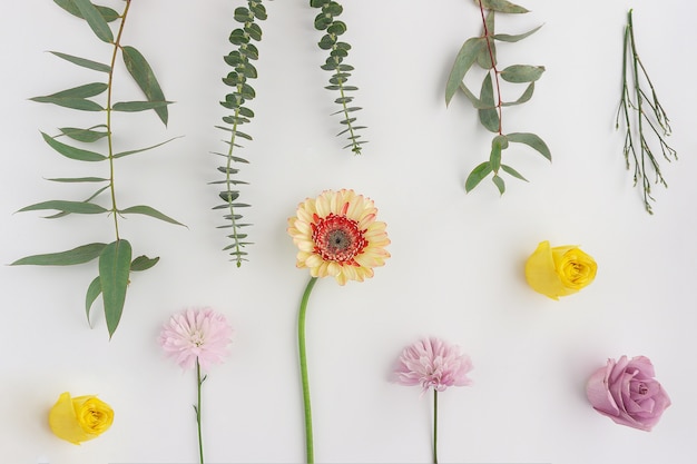 Composición con flores y plantas