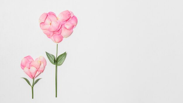 Composición de flores rosadas en forma de corazones.